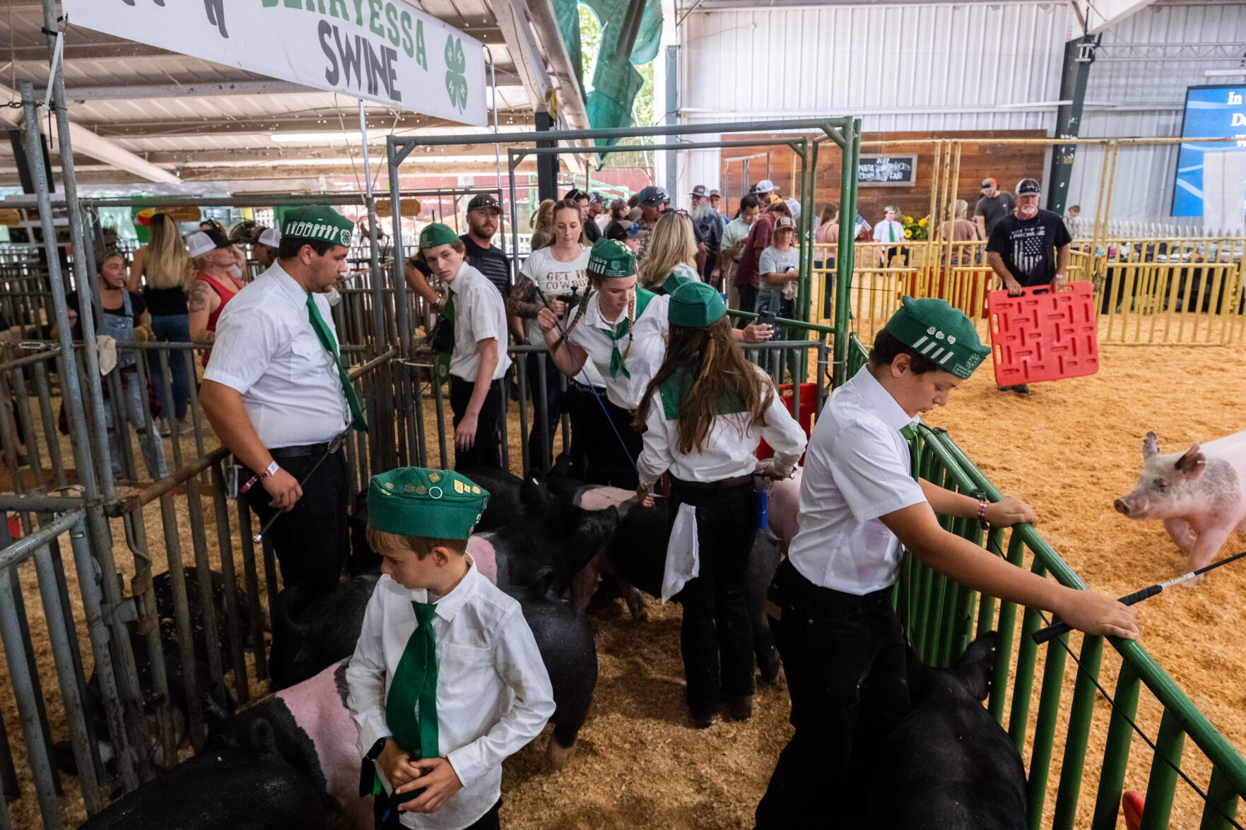 4-H at the Fair